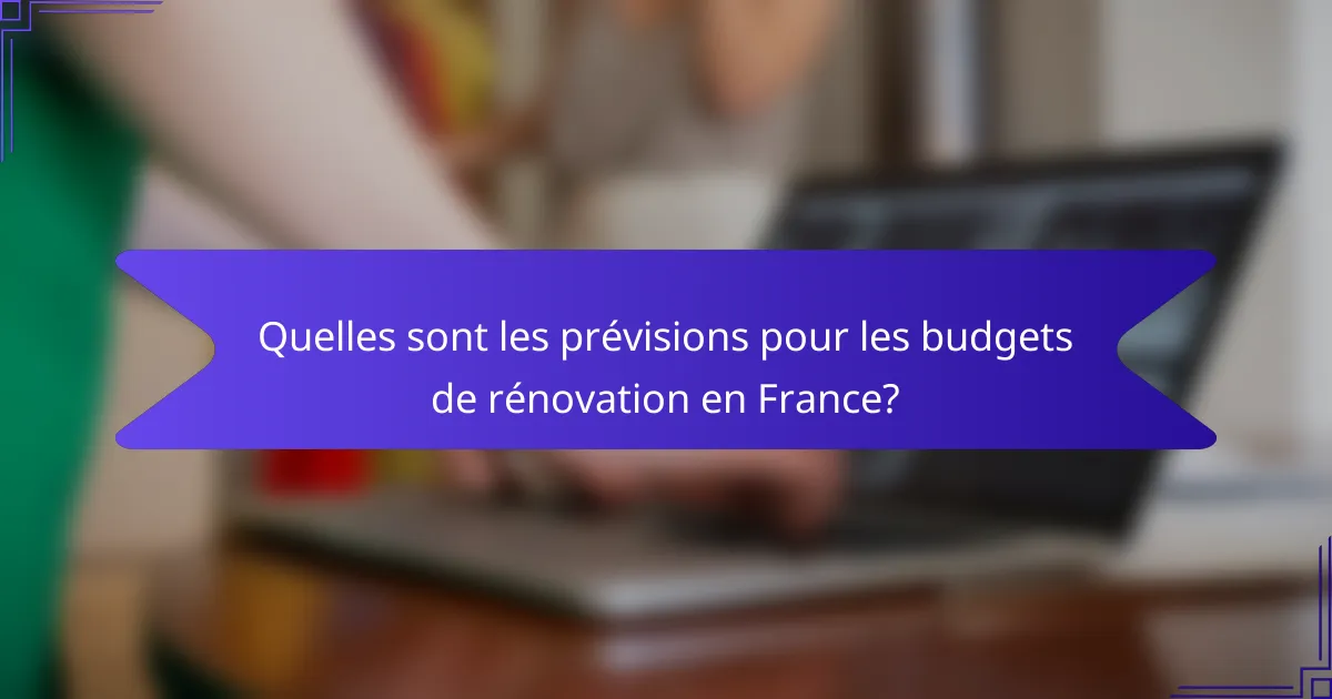 Quelles sont les prévisions pour les budgets de rénovation en France?