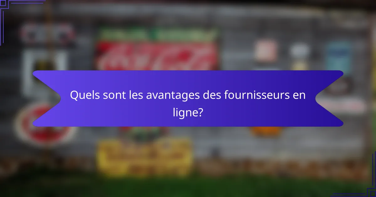 Quels sont les avantages des fournisseurs en ligne?
